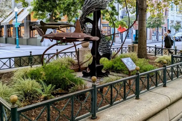 Fun things to do in Santa Cruz.